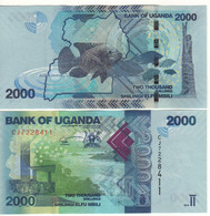 UGANDA 2000 Shilingi   New Date   P50 (e)   Dated 2019  Fish At Back - Uganda