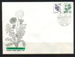 POLAND FDC 1989 MEDICINAL PLANTS FOR HEALING SERIES 1 Flowers Herbs Chemist Pharmacist Science Medicine Drugs Healthcare - Pharmacy