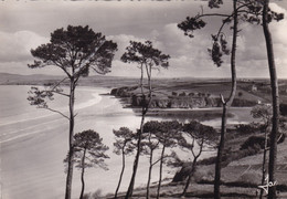 DOUARDENEZ LA PLAGE DU RIS A MAREE BASSE (dil161) - Douarnenez