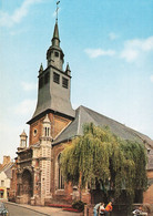 62 Hesdin Eglise Arbre Saule Pleureur - Hesdin