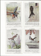 ( 4308 ) Joli Lot De 10 Cartes Theme Oiseaux Collection BUISSON Naturaliste - Vogels
