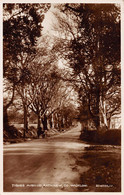 RETHNEW - Tighes Avenue (Co. WICKLOW) - Wicklow