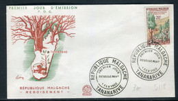 Madagascar - Enveloppe FDC En 1960 - Reboisement - Ref S 118 - Madagascar (1960-...)