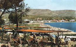 LE LAVANDOU : VUE GENERALE - Le Lavandou