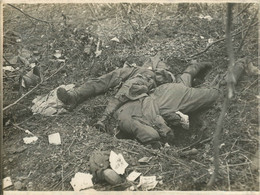 FRONT FRANCAIS CADAVRES SOLDATS ALLEMANDS  WW1  PHOTO ORIGINALE  24 X 18 Cm - Krieg, Militär