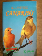 Allevare Canarini - L. Bedetti - Mistial - 1992 - AR - Natuur