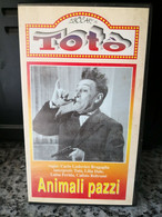 Totò Animali Pazzi - Vhs 1938 - Legocart - F - Colecciones