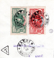 Mauritanie  1906  Taxes N°1 Et 2 Sur Fragment Oblitération De Kaedi Du 8 Nov. 1906 - Used Stamps