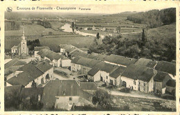 034 884 - CPA - Belgique - Environs De Florenville - Chassepierre - Panorama - Florenville