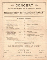 MUTILES OEUVRE DES BLESSES AU TRAVAIL . CONCERT A TOURS . 1920 - Programma's