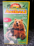 Il Magico Mondo Degli Animali- Alla Scoperta Degli Orsi -vhs- 1998 - Disney  -F - Sammlungen