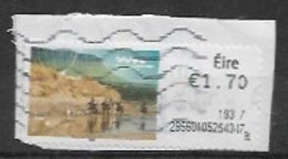 IRELAND 2018 FRANKING LABEL HORSE TREKKING - Frankeervignetten (Frama)