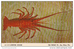 A & B Lobster House 700 Front Street Key West Florida - Key West & The Keys