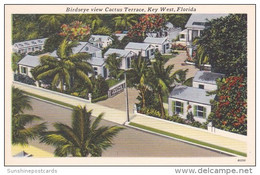 Florida Key West Birds Eye View Cactus Terrace - Key West & The Keys