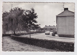 ZELZATE  SCHOOLSTRAAT    FOTOKAART - Zelzate