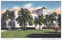 Florida Clearwater Morton F Plant Hosptal - Clearwater