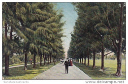 Florida Palm Beach Ocean Avenue 1906 - Palm Beach