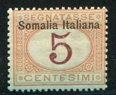 SOMALIA 1909 SEGNATASSE 5 C. ** MNH - Somalië