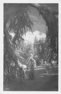 Photo Paysage D'hiver - Cachet 1931 Gstaad - Gstaad