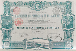 Syndicat National De Destruction Du Phylloxéra Et Du Black-Rot 1898 - Industrie