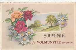 ***  57  ***  Souvenir De Volmunster - Timbrée TTB - Volmunster