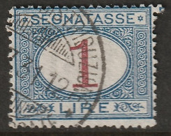 Italy 1894 Sc J14 Sa Seg94 Yt T13 Postage Due Used - Postage Due