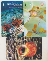 Singapore Old Transport Subway Train Bus Ticket Card Transitlink Used Sea Life Shrimp Shell Sea Urchin 3 Cards - Mondo