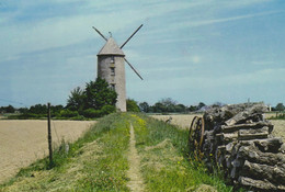 D 44 - DERVAL- Le Moulin Du Thu - CPM - Ed. Pierre ARTAUD - Non Voyagée - Derval