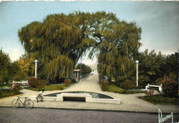 Les Clayes Sous Bois - Avenue De L'île De France - Les Clayes Sous Bois