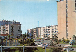 78-CARRIERES-SUR-SEINE- CITE DU PETIT BOIS, ROUTE DE ST-GERMAIN - Carrières-sur-Seine