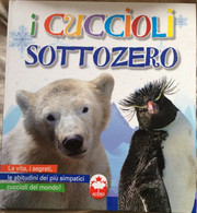 I Cuccioli Sottozero - AA.VV - Acero -2011 - MP - Adolescents