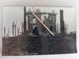 HERENTHAGE - GELUVELD - FOTO - Zillebeke ( Le Château Beukenhorst ) - Ieper