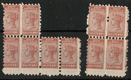 56838 - SOUTH AUSTRALIA - Stanley Gibbons # 182  MNH X 10 With PERFORATION ERROR - Ongebruikt