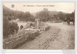 MAREDSOUS ..-- Tunnel , Route Vers L' Abbaye .1911 Vers WAULSORT ( Melle Marie VAN DEN BRIL ) . Voir Verso . - Anhee