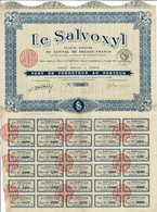 Titre Ancien -Le Salvoxyl - Sté Anonyme -  - Titre De 1925 - Autres & Non Classés
