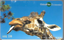 CARTE-PREPAYEE SUISSE-10CHF-GLOBAL ONE ECONOMY--TETE DE GIRAFE-5000Ex-Gratté-Plastic Epais Glacé-TBE - Jungle