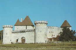 AIGUEPERSE. - Château De LA ROCHE. Beau Cliché - Aigueperse