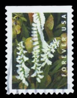 Etats-Unis / United States (Scott No.5449 - Wild Orchids) (o) - Gebraucht