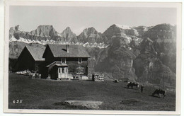 FLUMS Bauer Mit Kühen Auf Der Alp Photo E. Widmer Walenstadt - Walenstadt