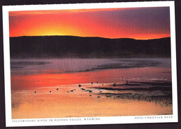 AK 001177 USA - Wyoming - Yellowstone River Im Hayden Valley - Yellowstone