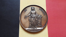 BELGIQUE LIEGE MEDAILLE 1889 ATTRIBUEE 41.5MM 24.4GR - Professionnels / De Société