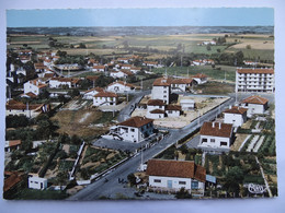 CPM  (65) Hautes Pyrénées - CASTERNAU RIVIERE BASSE - Castelnau Riviere Basse