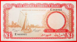 * SHIP AND CROCODILE: The GAMBIA ★ 1 POUND (1965-1970)! UNC CRISP! RARE!  LOW START ★ NO RESERVE! - Gambia