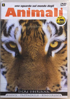 Uno Sguardo Sul Mondo Degli Animali 1, Tigre Siberiana DVD, 2009, AVP - Naturaleza