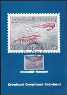 GRÖNLAND 1982 Mi-Nr. 133 Maximumkarte MK/MC - Maximum Cards