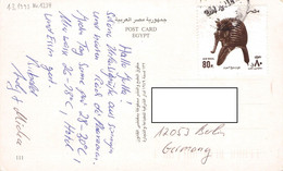 EGYPT - 2 PICTURE POSTCARDS HURGHADA > BERLIN Mi #1234 / PR82 - Briefe U. Dokumente