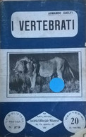 I Vertebrati - Armando Guelfi (Società Editoriale Milanese) INTONSO Ca - Nature