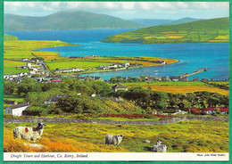 Dingle Town And Harbour, Co. Kerry (Ireland) 2scans 15-09-1979 Moutons - Kerry