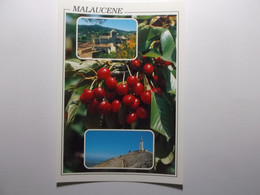 Delcampe - MALAUCENE Au Pied Du Mont Ventoux - Malaucene