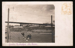 ZOO DI ROMA - FOTOCARTOLINA  VIAGGIATA NEL 1912 - CAMMELLI O DROMEDARI - KAMELE - CHAMEAUX - CAMELS - UNICA!!!! - Rhinocéros